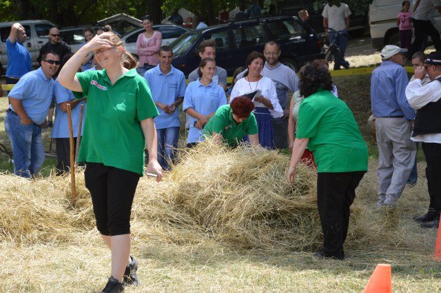 Ügyességi erőbajnokság